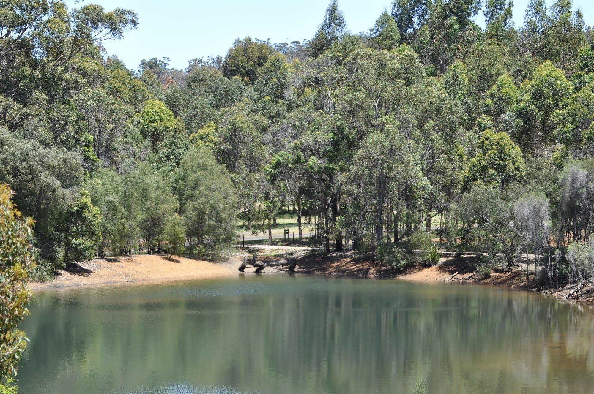 פרמברטון Karri Valley Chalets מראה חיצוני תמונה